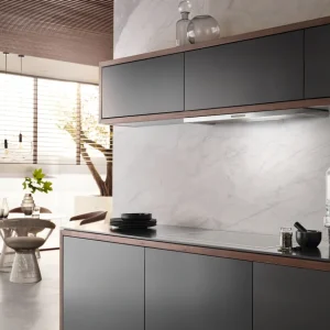 Miele Ventilations Hoods>DAS 2920